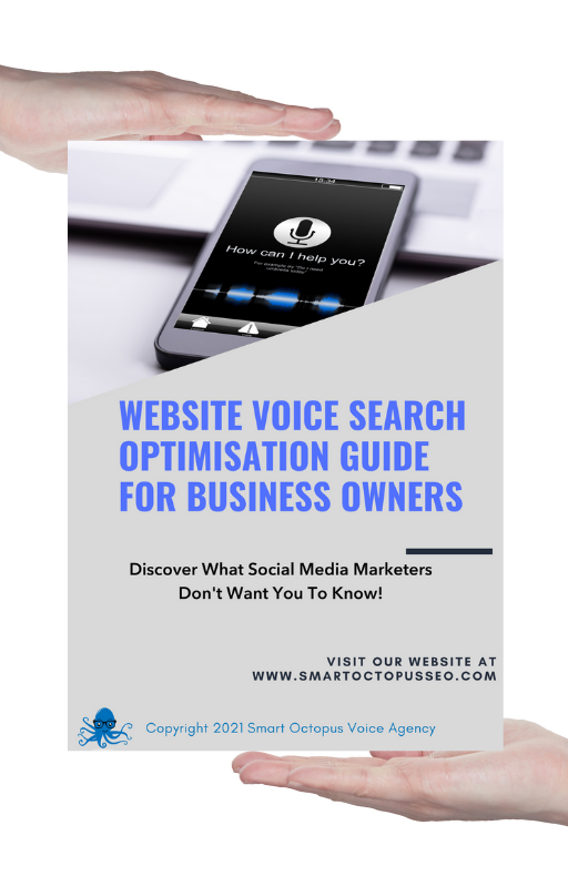 Voice Search Optimisation Guide